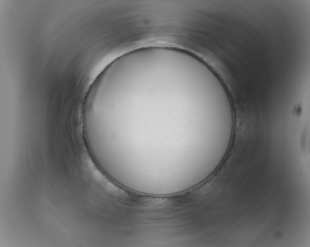 X0000110691382200906261334