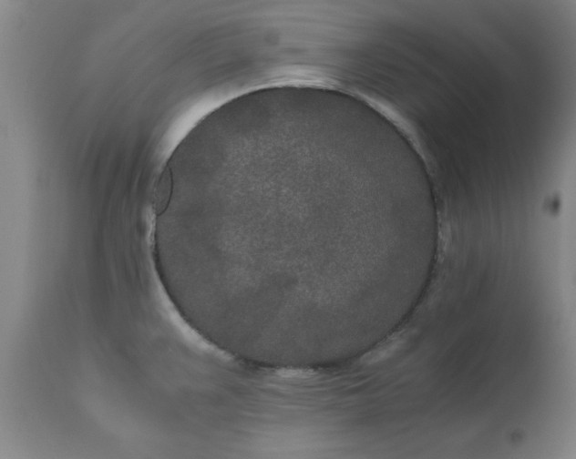 X0000110691383200906261334