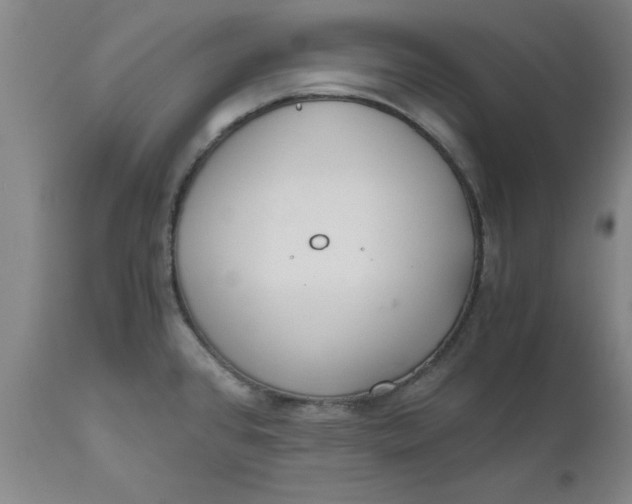 X0000110691384200906261334