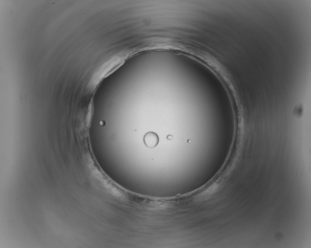 X0000110691385200906261334