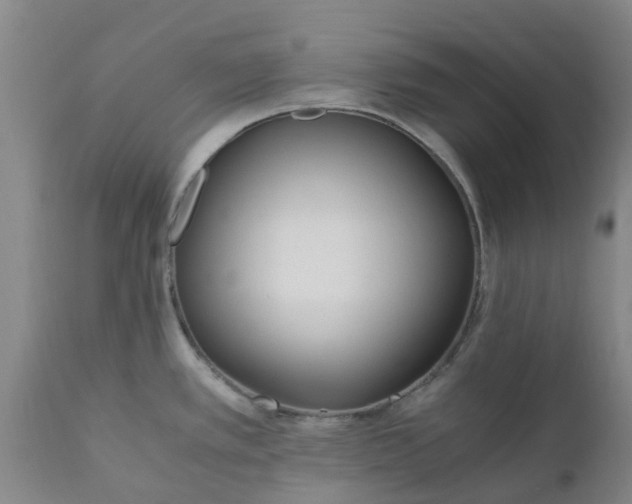 X0000110691389200906261334