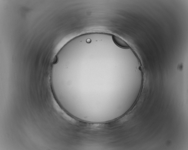 X0000110691390200906261334