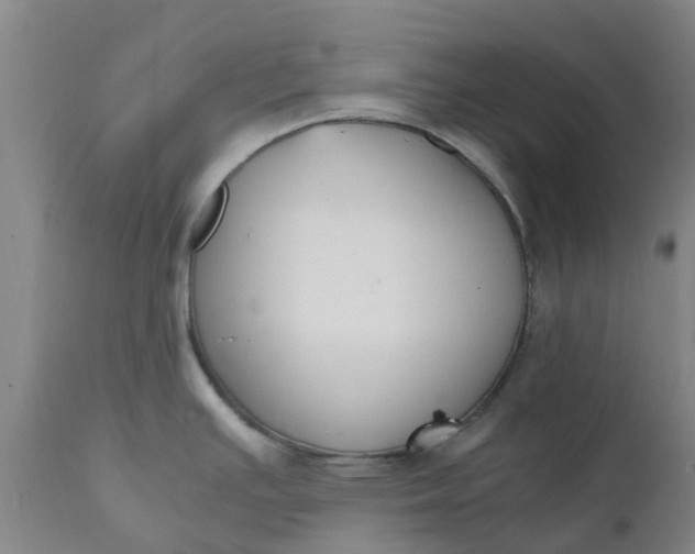 X0000110691391200906261334