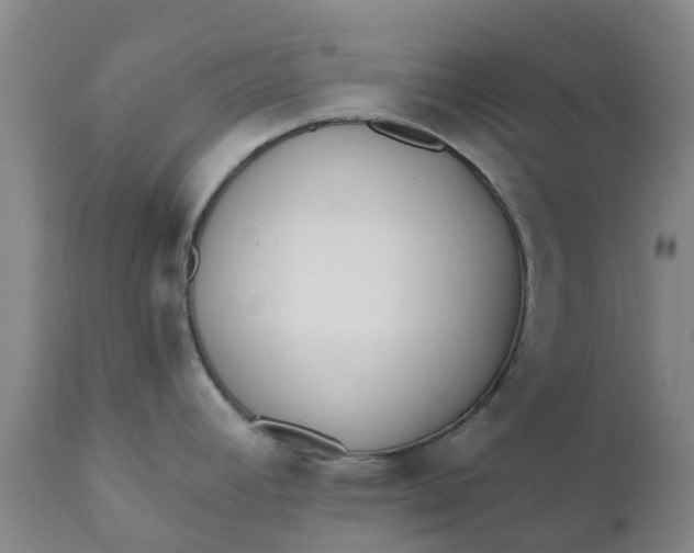 X0000110691392200906261334