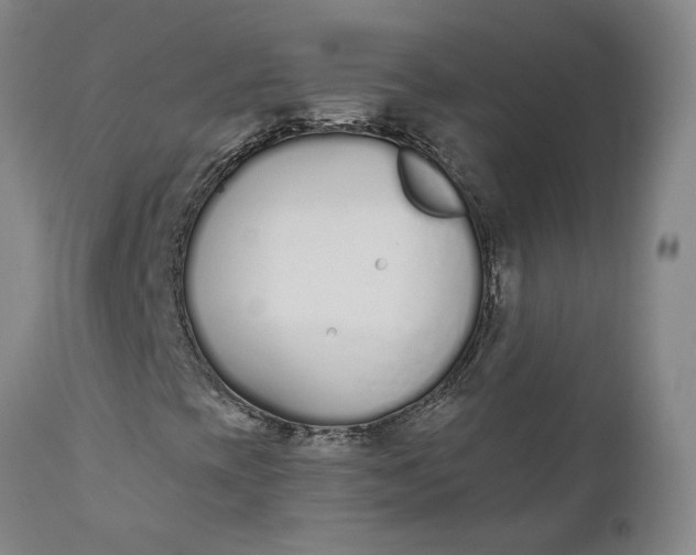 X0000110691393200906261333