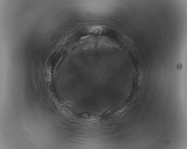 X0000110691394200906261333