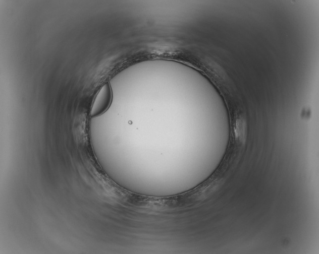 X0000110691396200906261333