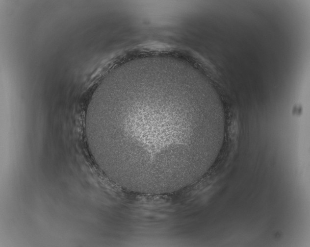 X0000110691397200906261333