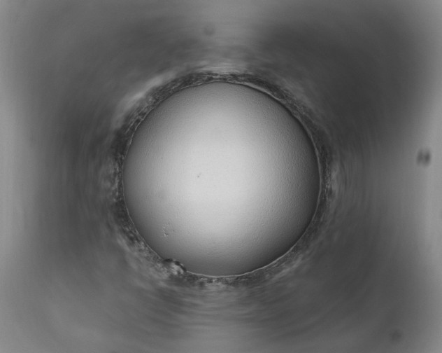 X0000110691398200906261333