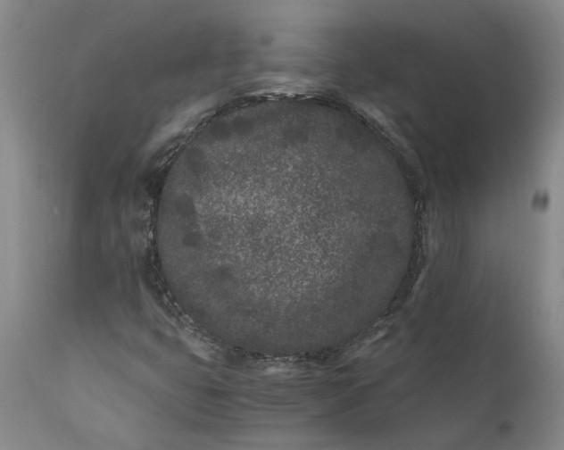 X0000110691399200906261333