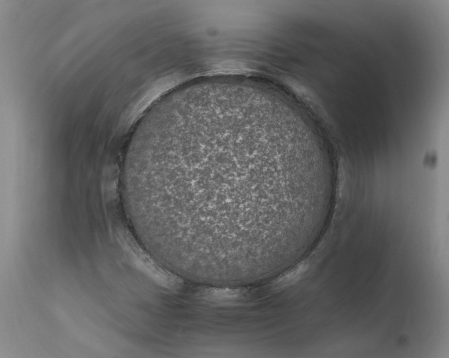 X0000110691401200906261333