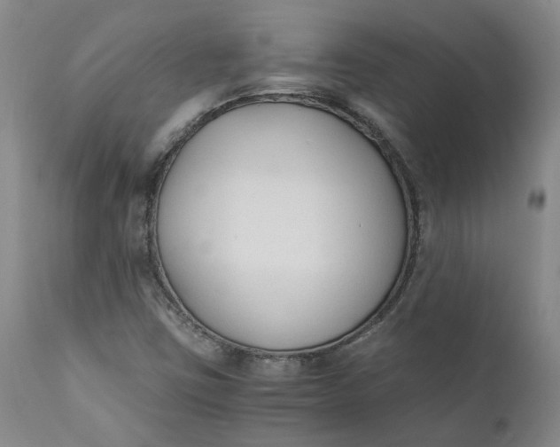 X0000110691403200906261333