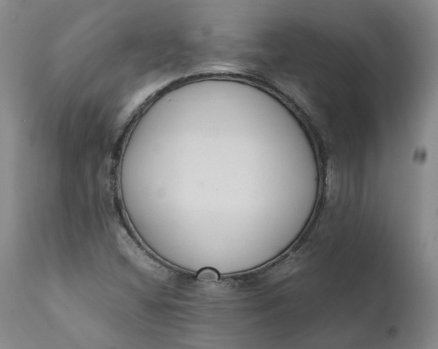 X0000110691404200906261333