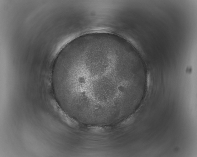 X0000110691405200906261333