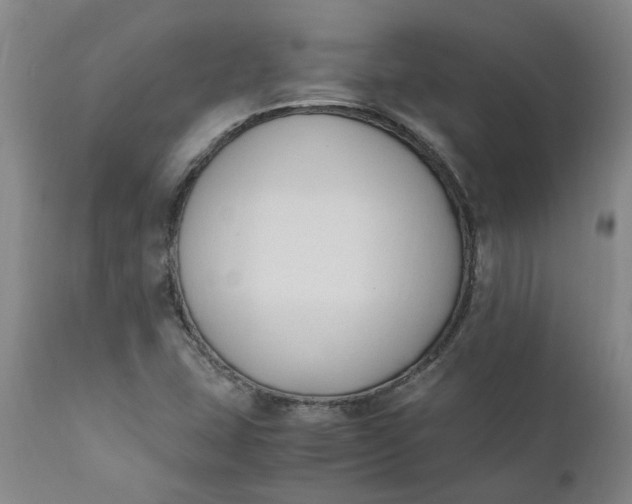 X0000110691407200906261333