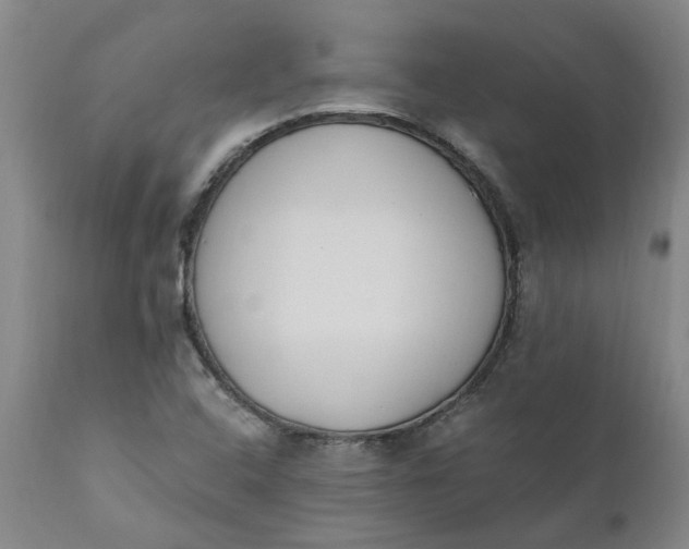 X0000110691408200906261333