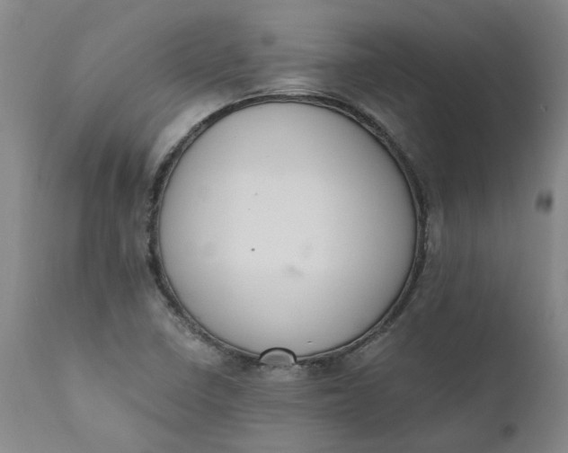 X0000110691410200906261333