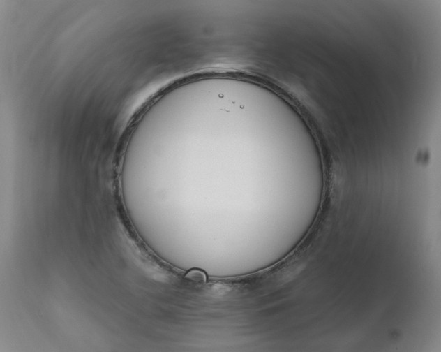 X0000110691412200906261333