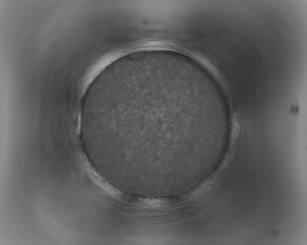 X0000110691413200906261333