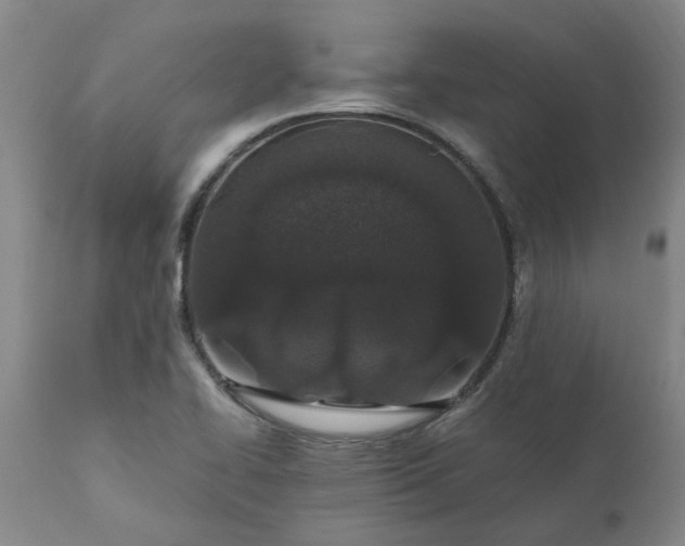 X0000110691414200906261333