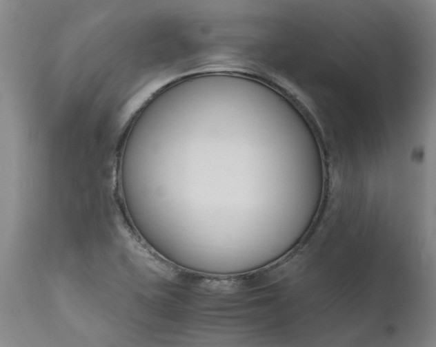 X0000110691415200906261333