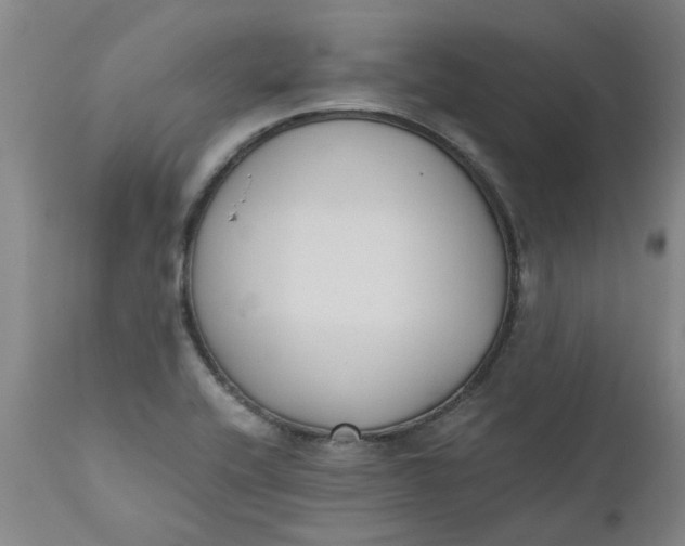 X0000110691416200906261333