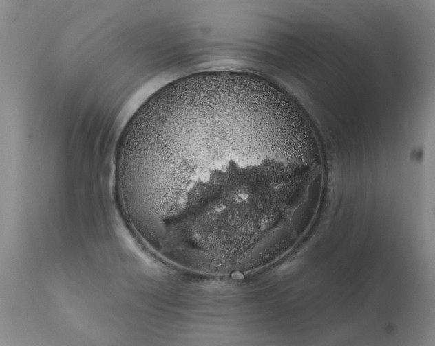 X0000110691418200906261333