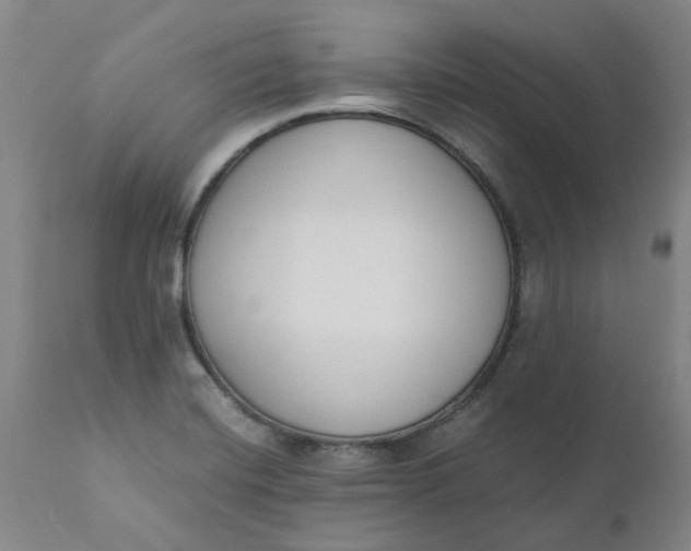 X0000110691420200906261333