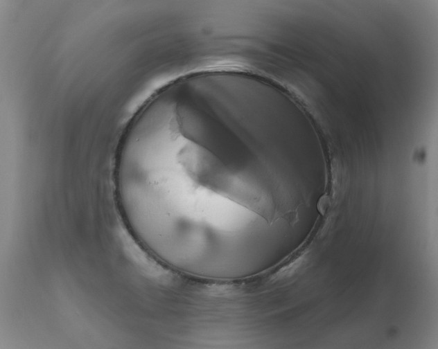 X0000110691422200906261333