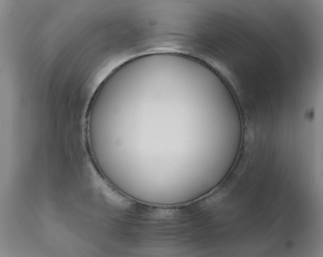 X0000110691423200906261333