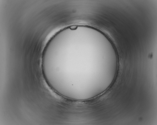 X0000110691424200906261333