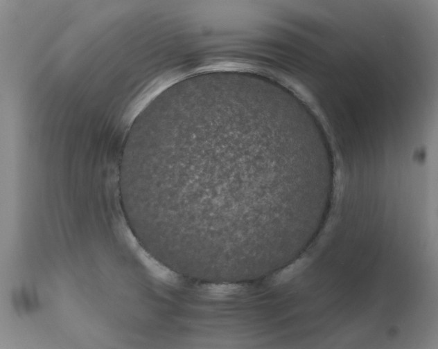 X0000110691425200906261333