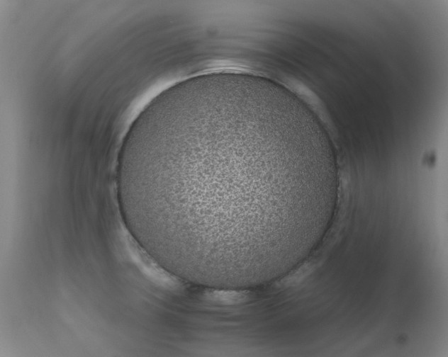 X0000110691427200906261333