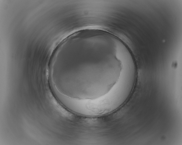 X0000110691428200906261333