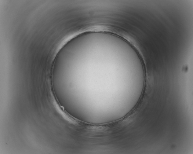 X0000110691429200906261333