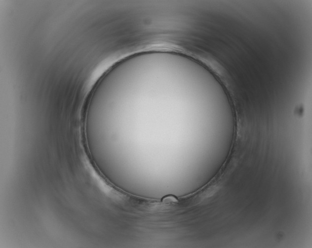 X0000110691430200906261333