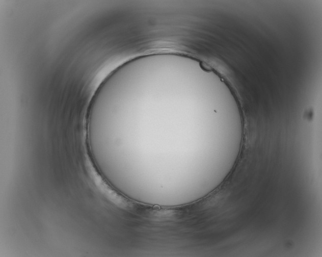 X0000110691431200906261333