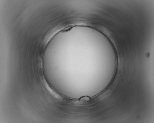 X0000110691433200906261333