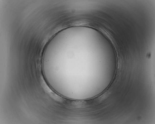 X0000110691434200906261333