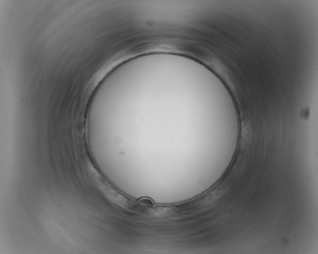 X0000110691435200906261333