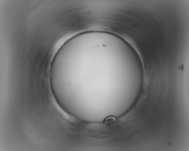 X0000110691437200906261334