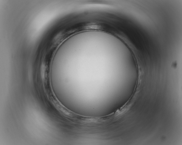 X0000110691438200906261334