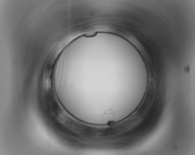 X0000110691439200906261334