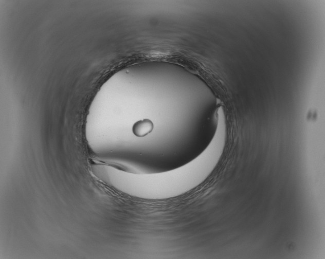 X0000110691441200906261333