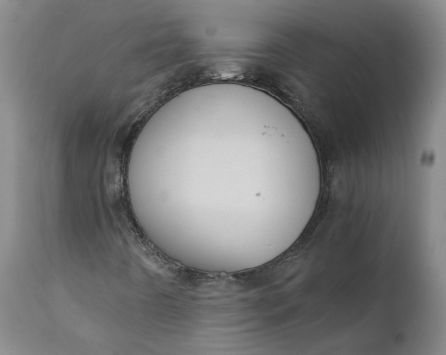 X0000110691442200906261333