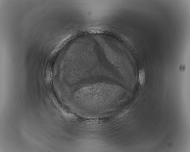 X0000110691444200906261333