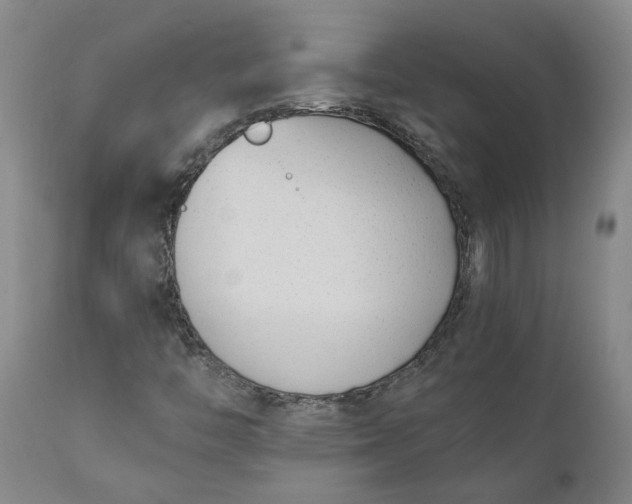 X0000110691446200906261333