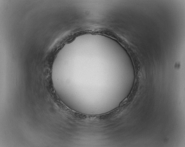 X0000110691447200906261333