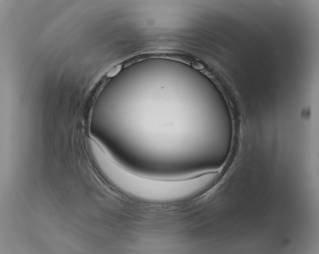 X0000110691449200906261333