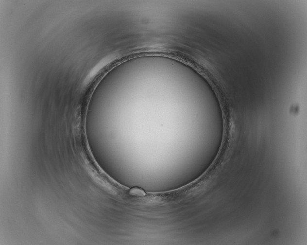 X0000110691450200906261333